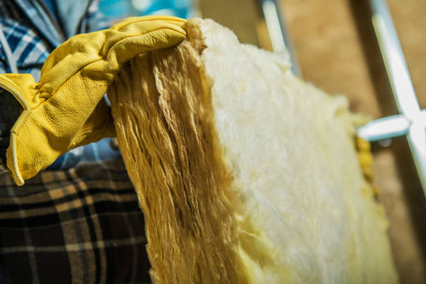 Insulation Replacement Services in North Crossett, AR